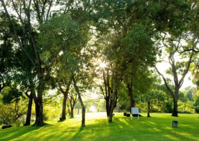 A'Zambezi River Lodge Flame of Africa