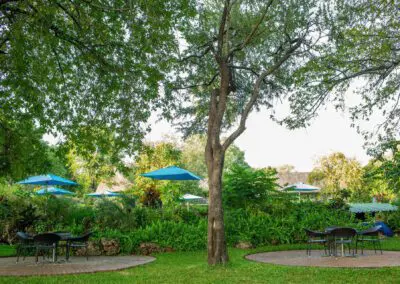 A'Zambezi River Lodge Flame of Africa