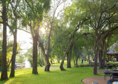 A'Zambezi River Lodge Flame of Africa