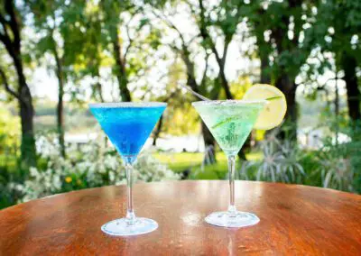 A'Zambezi River Lodge Flame of Africa