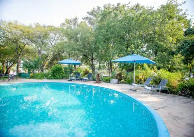 A'Zambezi River Lodge Flame of Africa