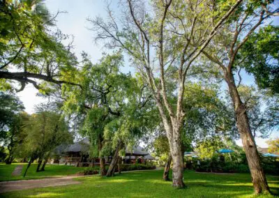 A'Zambezi River Lodge Flame of Africa