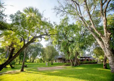 A'Zambezi River Lodge Flame of Africa