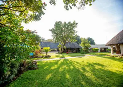 A'Zambezi River Lodge Flame of Africa