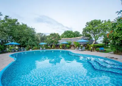 A'Zambezi River Lodge Flame of Africa