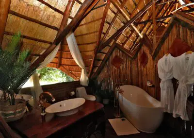 Mana Pools Safari Lodge Flame of Africa
