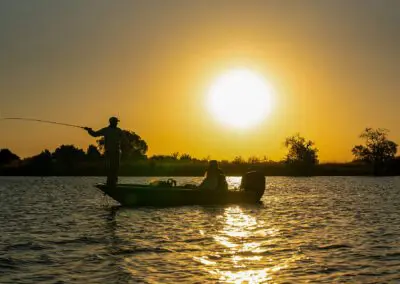 Chobe Princess Flame of Africa