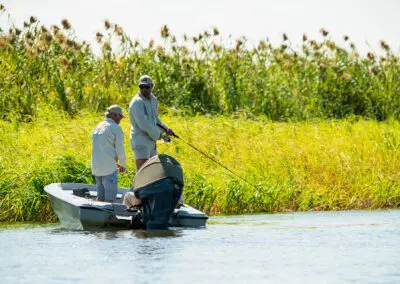Chobe Princess Flame of Africa
