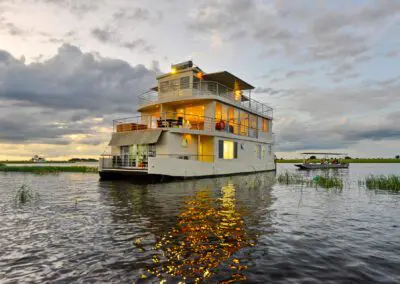 Chobe Princess Flame of Africa