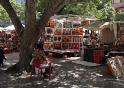 Cape Town City Tour Flame of Africa