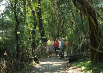 Guided Tour of the Falls Flame of Africa