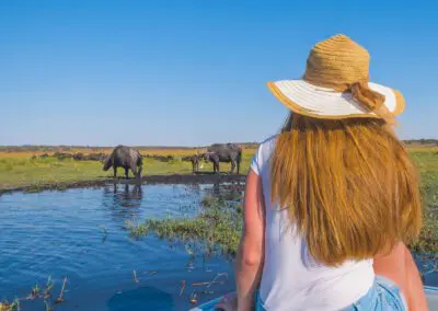 Chobe Princess Flame of Africa