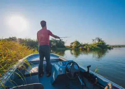 Chobe Princess Flame of Africa