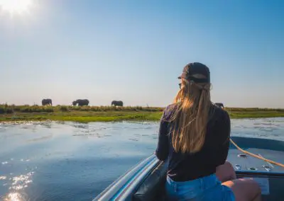 Chobe Princess Flame of Africa