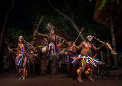 Welcome-to-The-Boma---Dinner-&-Drum-Show-Flame of Africa