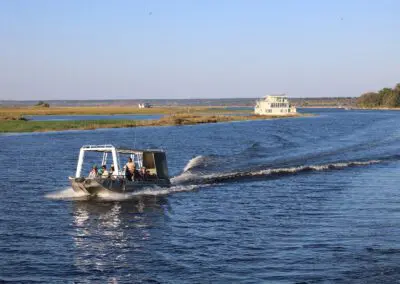 Chobe Princess Flame of Africa