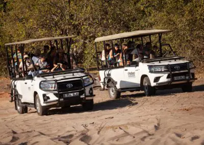 Chobe Day Trip Flame of Africa