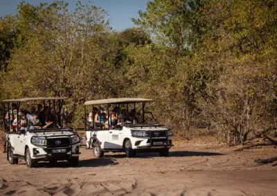 Chobe Day Trip Flame of Africa