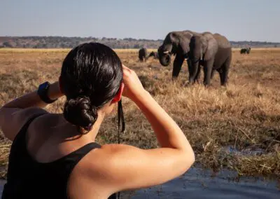 Chobe Day Trip Flame of Africa