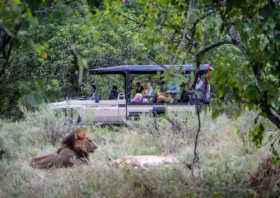 Khwai Expeditions Camp Flame of Africa