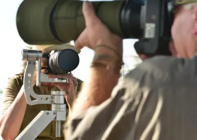 Chobe Princess Flame of Africa