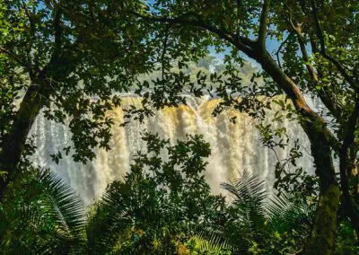 Guided Tour of the Falls Flame of Africa