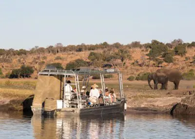 Chobe Princess Flame of Africa