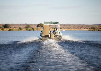 Chobe Princess Flame of Africa