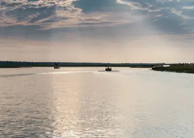 Chobe Princess Flame of Africa