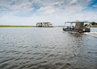 Chobe Princess Flame of Africa