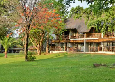Mowana Safari Lodge Flame of Africa