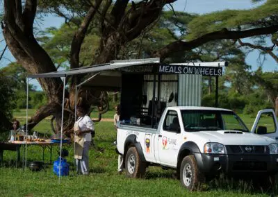 Chobe-Chow-Flame of Africa