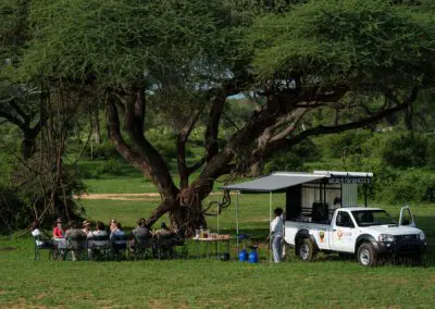 Chobe-Chow-Flame of Africa