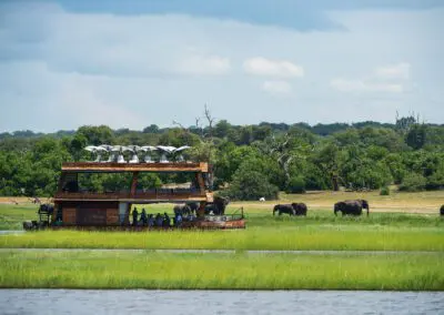 Chobe-Explorer-intro-sized-for-web Flame of Africa