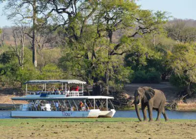 Cruises-(7)-copy Flame of Africa