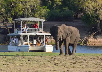 Cruises_Flame of Africa