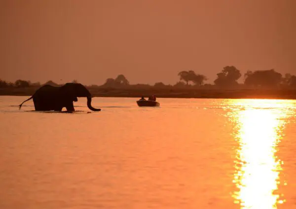 Cruises_Flame of Africa