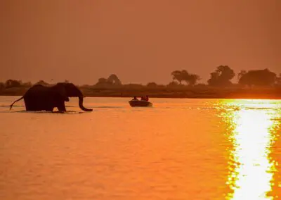 Cruises_Flame of Africa