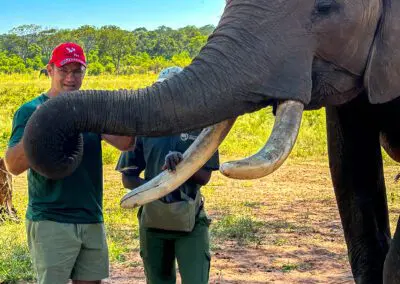 Elecrew-13 Flame of Africa