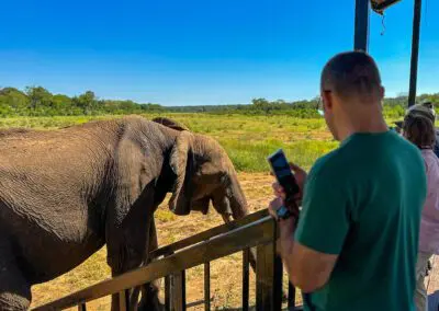 Elecrew-Flame of Africa