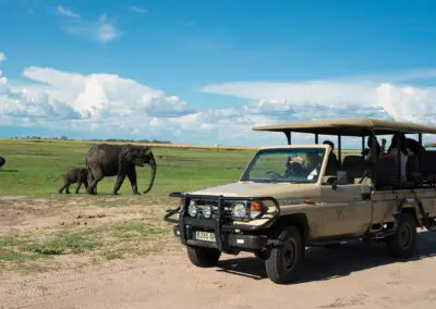 Game-Drive-Flame of Africa