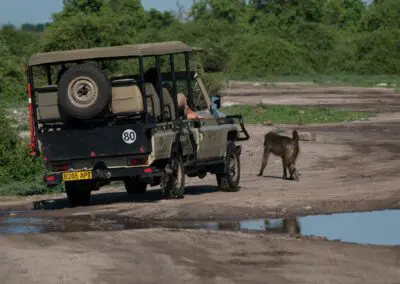 Game-Drive-Flame of Africa