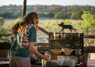 Chobe, Falls & Hwange Safari Flame of Africa