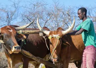 Namibia-Village-Walk-Flame of Africa