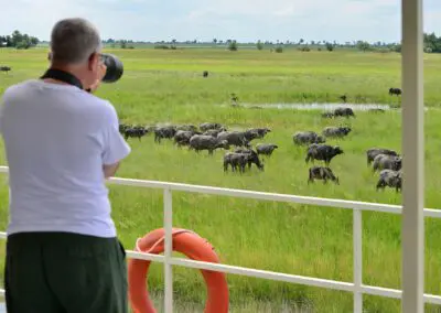 Chobe Princess-game-viewing Flame of Africa