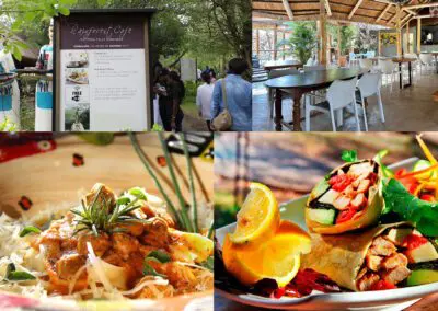 rainforest cafe Flame of Africa