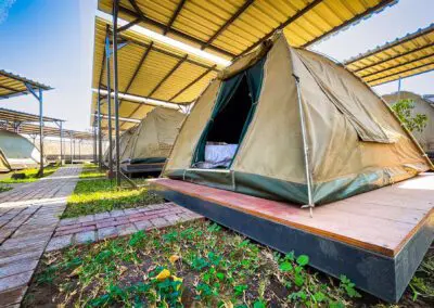 Falls & Chobe Cost Saver Flame of Africa