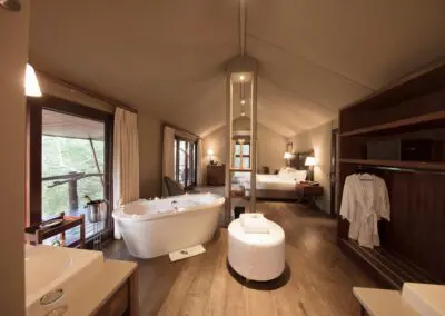 Flame of Africa | Buffalo Camp