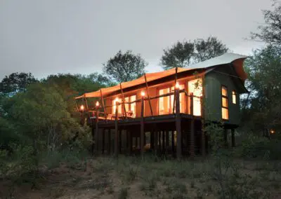 Flame of Africa | Buffalo Camp