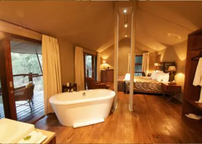 Flame of Africa | Buffalo Camp